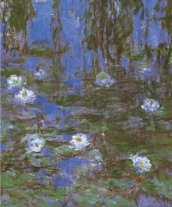 Best deal 😀 D-Toys 1000 Pieces Water Lilies 👍