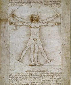 Outlet 🧨 Tomax Puzzles 1000 Pieces Vitruvian Man Mini Puzzle 😀