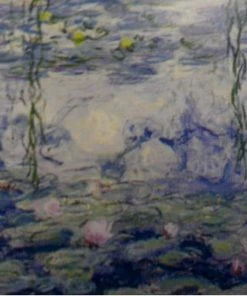 Best reviews of 🛒 Tomax Puzzles 1000 Pieces Nympheas Mini Puzzle 🛒