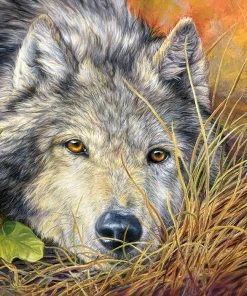 Best Sale ๐คฉ Castorland 500 Pieces Pure Soul โ