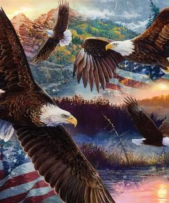 Deals ๐ SunsOut 1000 Pieces Land Of Freedom โจ