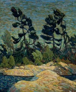 Best reviews of ✨ Pomegranate 500 Pieces Byng Inlet, Georgian Bay 😀