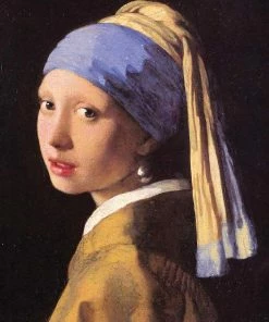 Best reviews of 👍 Tomax Puzzles 1000 Pieces Girl With Pearl Earring Mini Puzzle ⭐